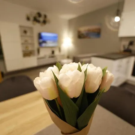 Apartment Flamingo - Balcony, Ac, Downtown Budapest